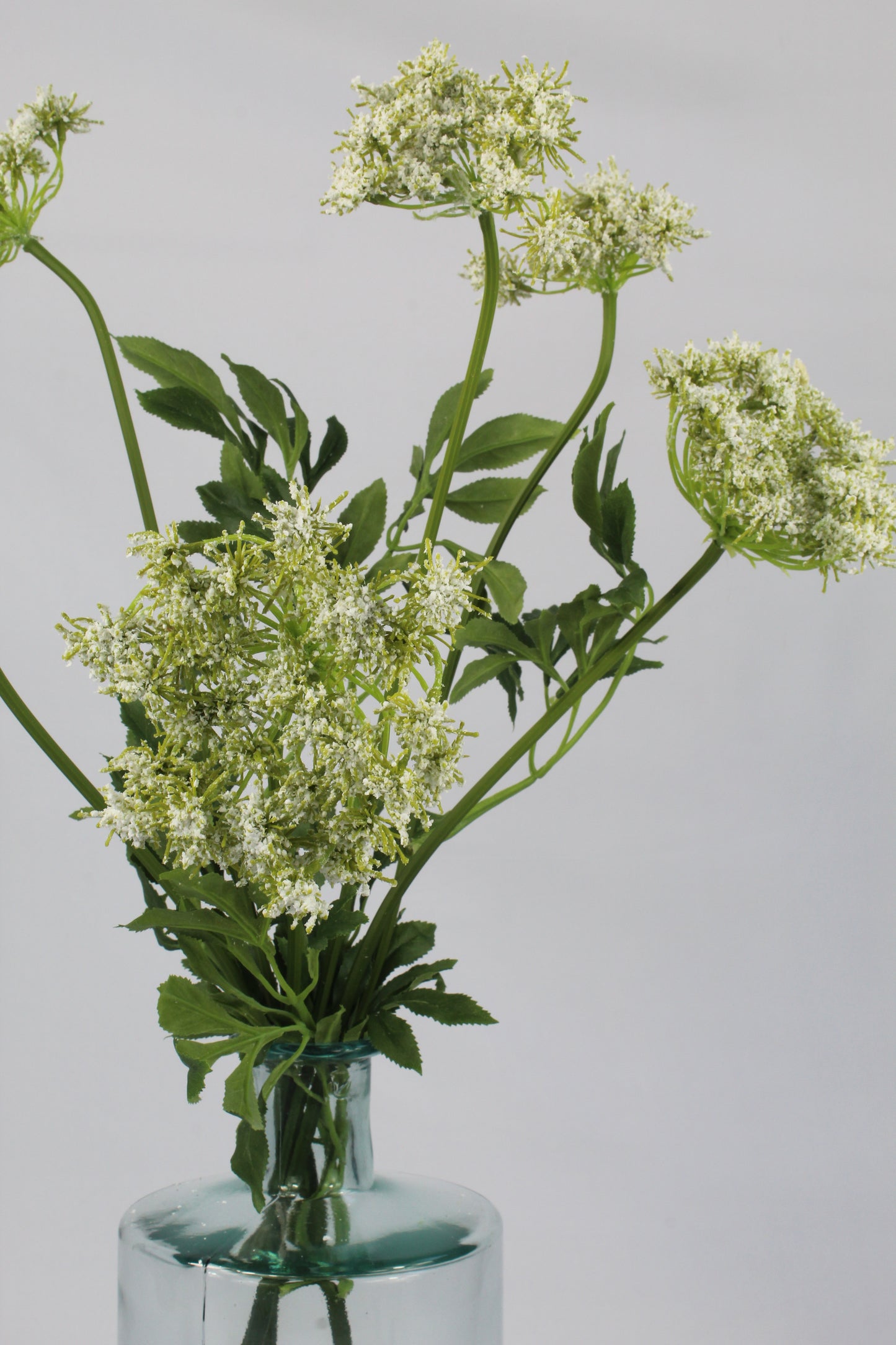 Faux White Queen Anne`s Lace Stem