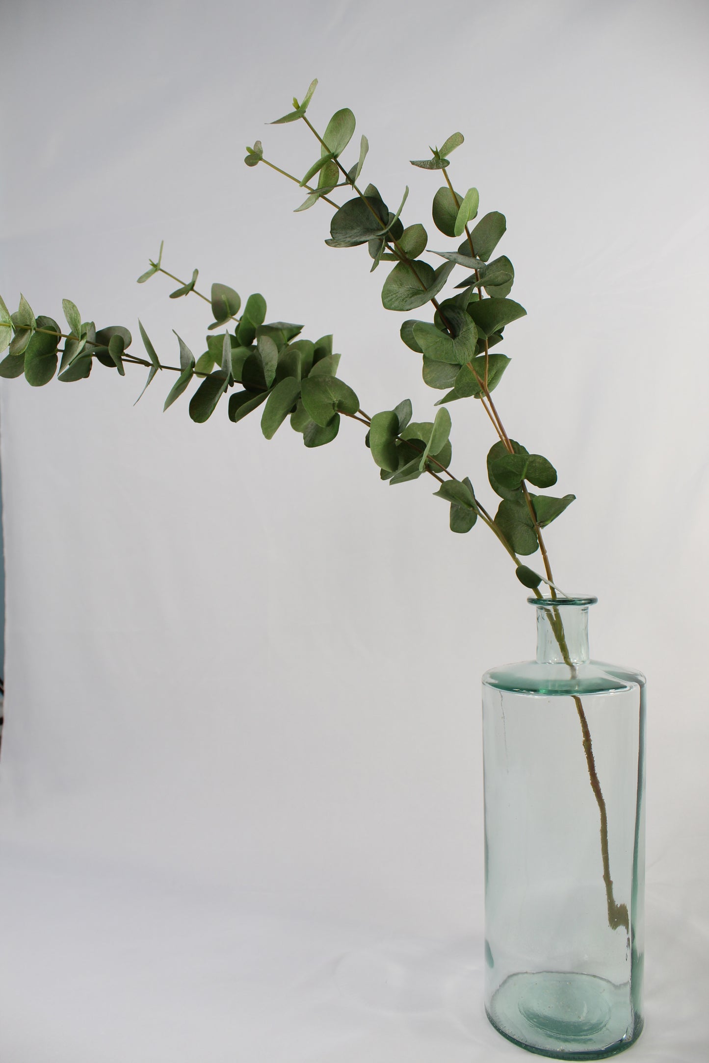 Faux Green Eucalyptus