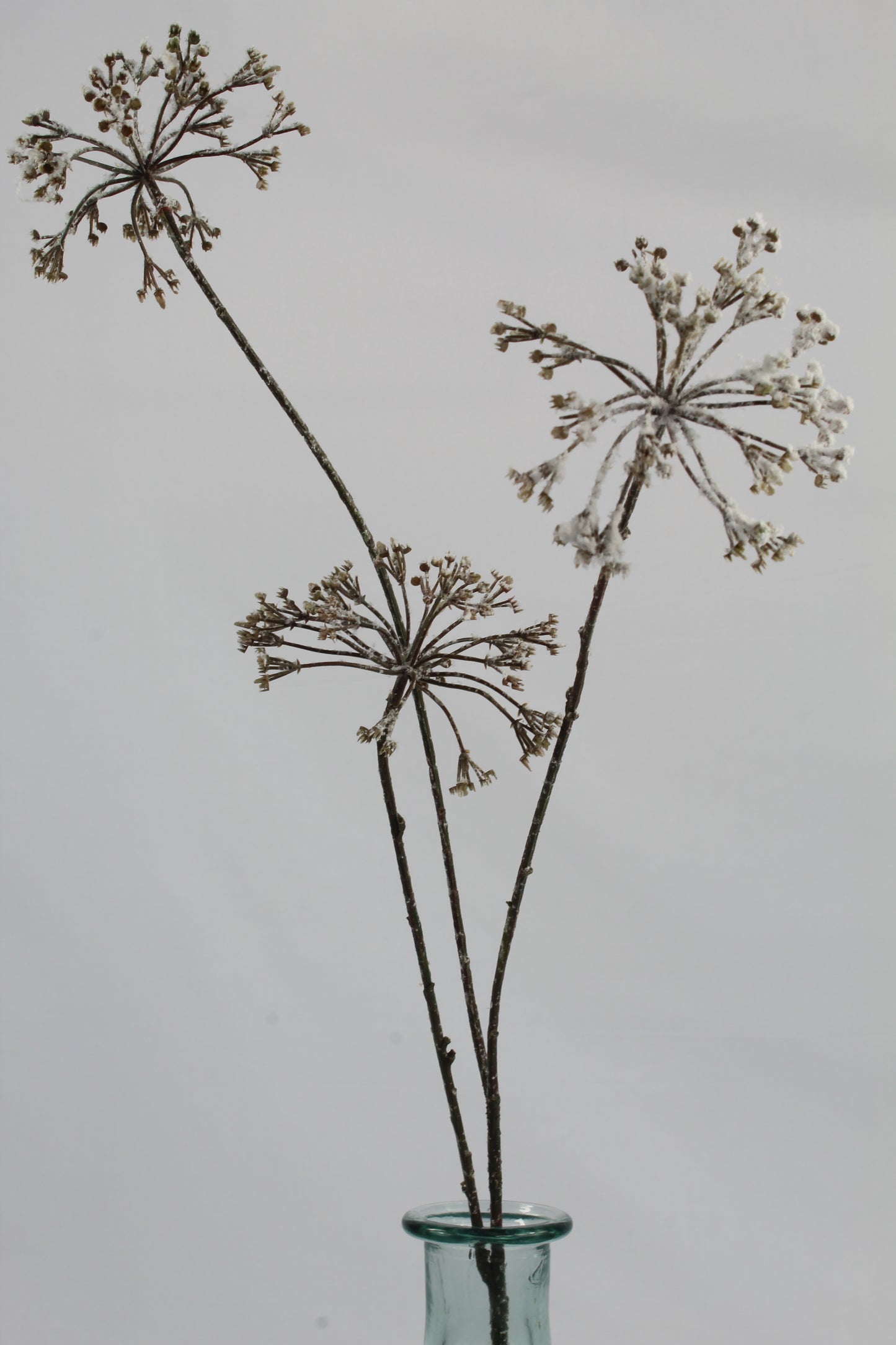 Faux Dried Snowy Seed Heads