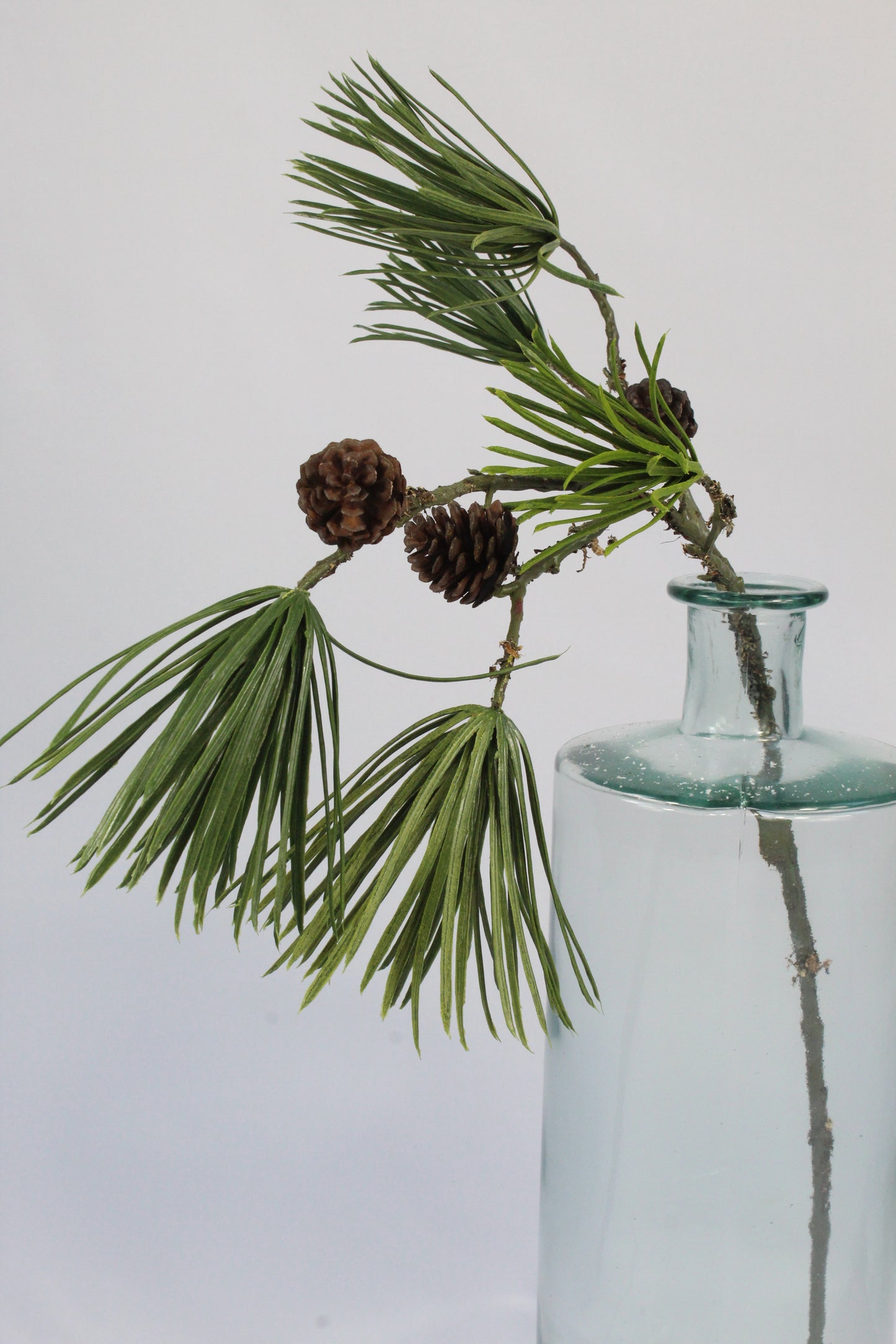 Faux Scots Pine Stem