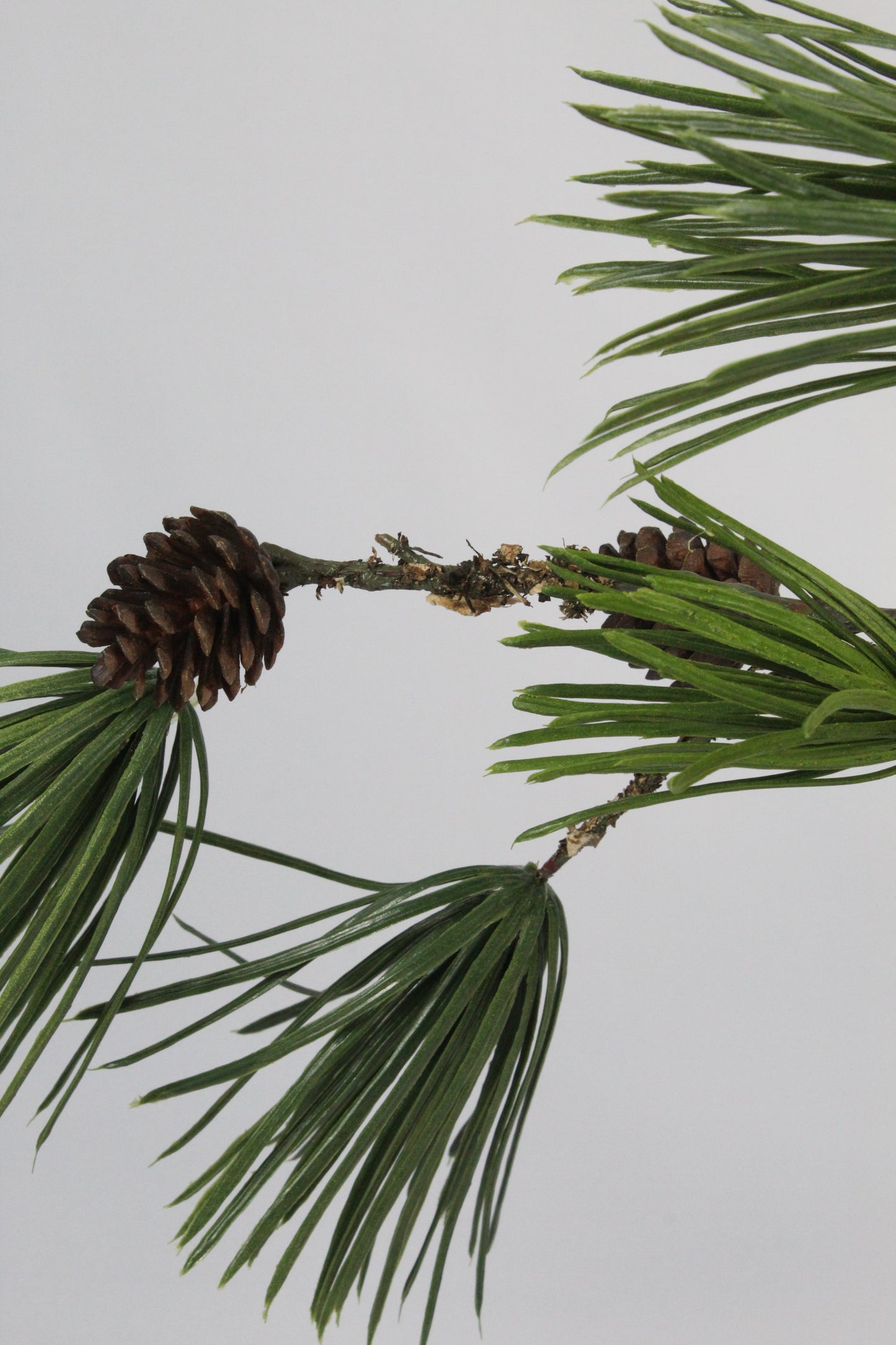 Faux Scots Pine Stem