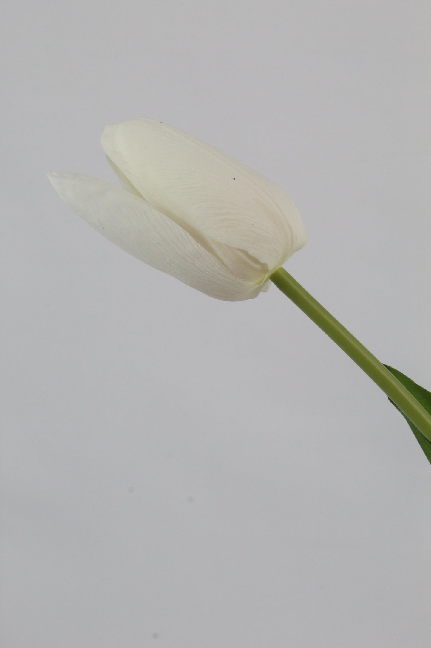 Faux White Tulip Spray