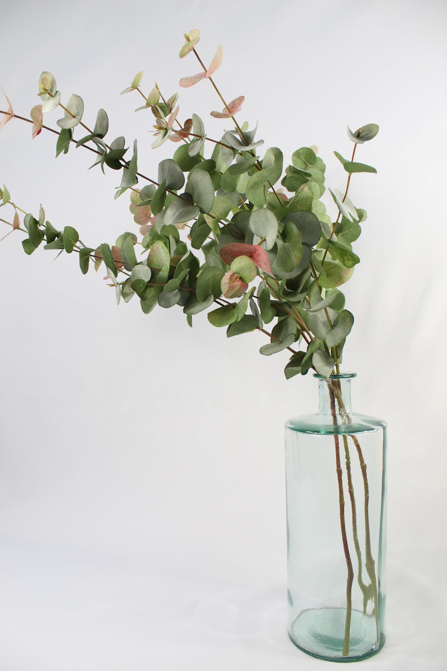 Faux Blush Eucalyptus Stem