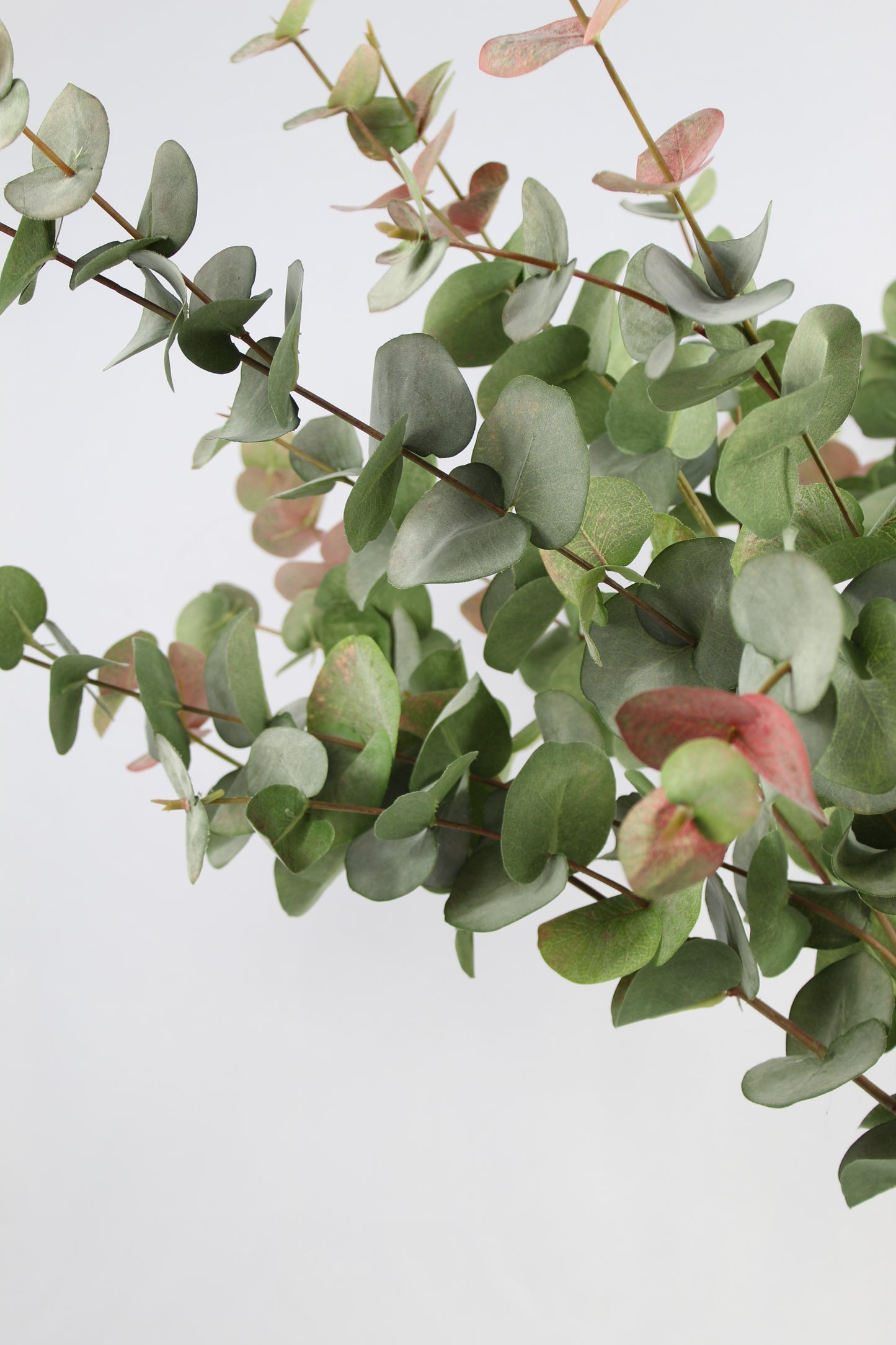 Faux Blush Eucalyptus Stem