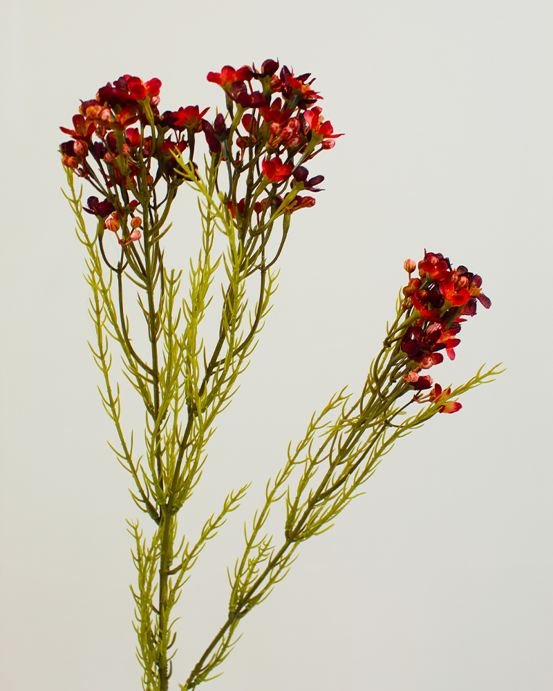 Faux Burgundy Waxflower Stem