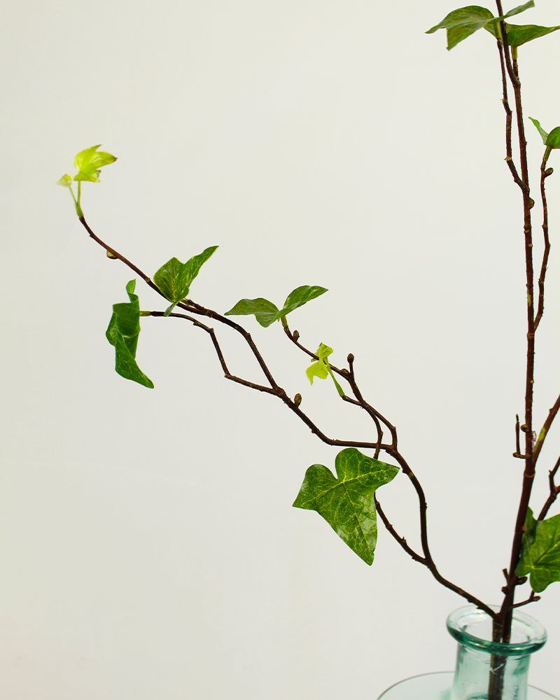 Faux Ivy Leaf Branch